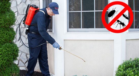 Dulkadiroğlu Gümüşkurt İlaçlama böcek ilaçlama ve haşere kontrolü — ilaclama-tr.com